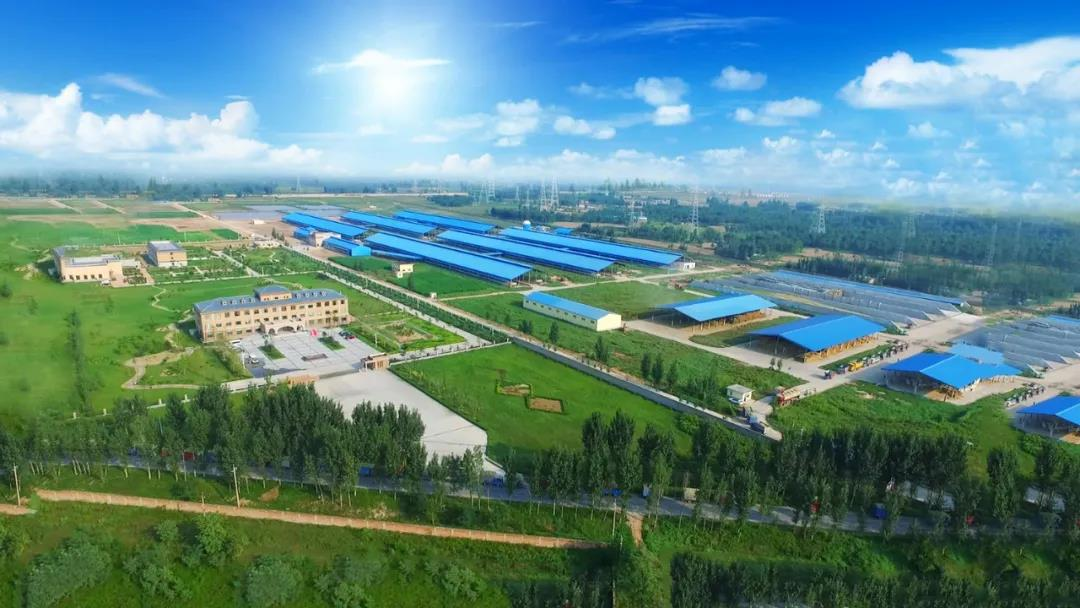 花花牛丨河南農(nóng)業(yè)大學(xué)黨委副書記、校長(zhǎng)介曉磊一行蒞臨花花牛河南瑞亞參觀調(diào)研