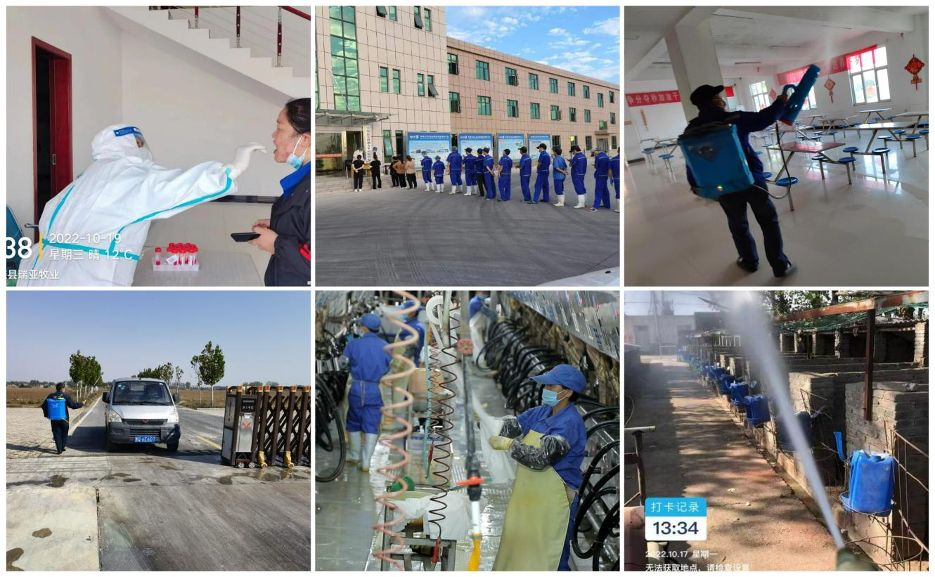 抗疫情、保供應(yīng)、顯擔(dān)當(dāng)——花花牛在行動！?。? style=