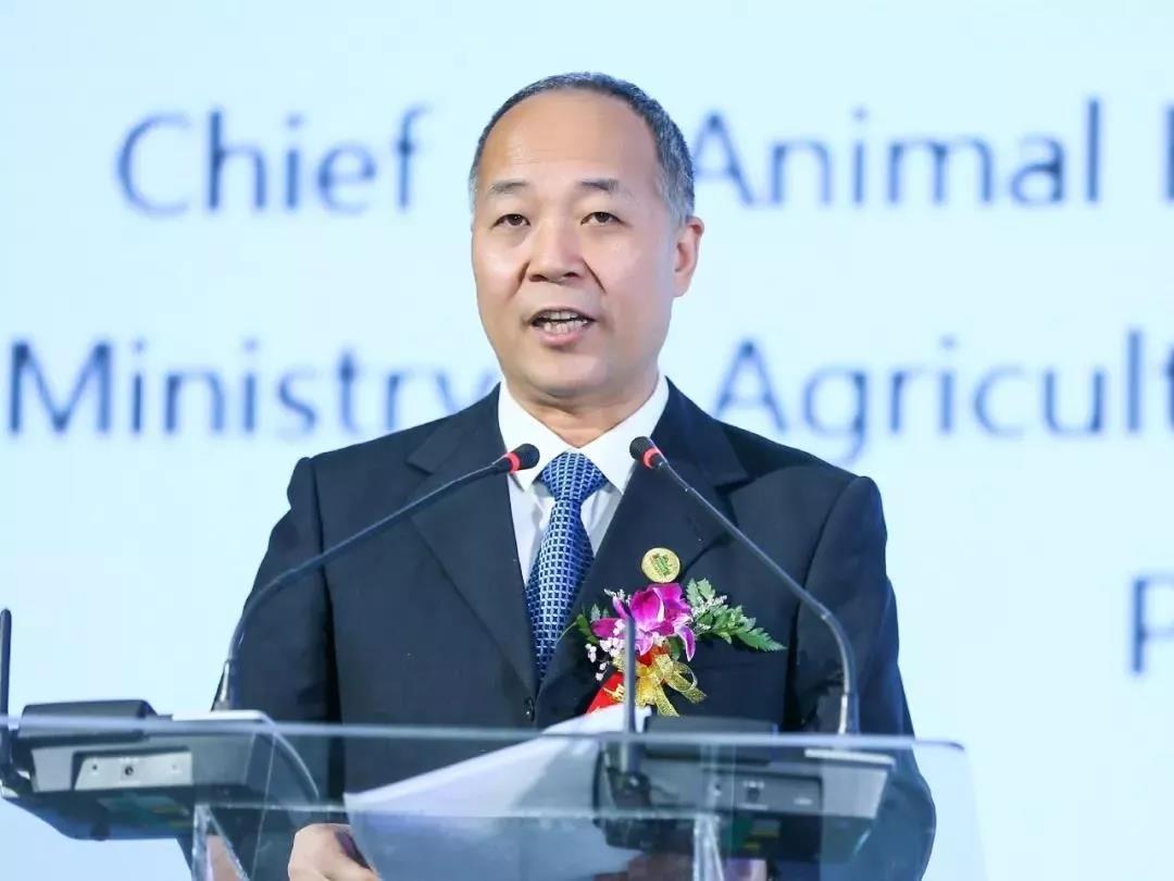 SDDDC走進(jìn)河南，看看花花牛的國(guó)際范兒！