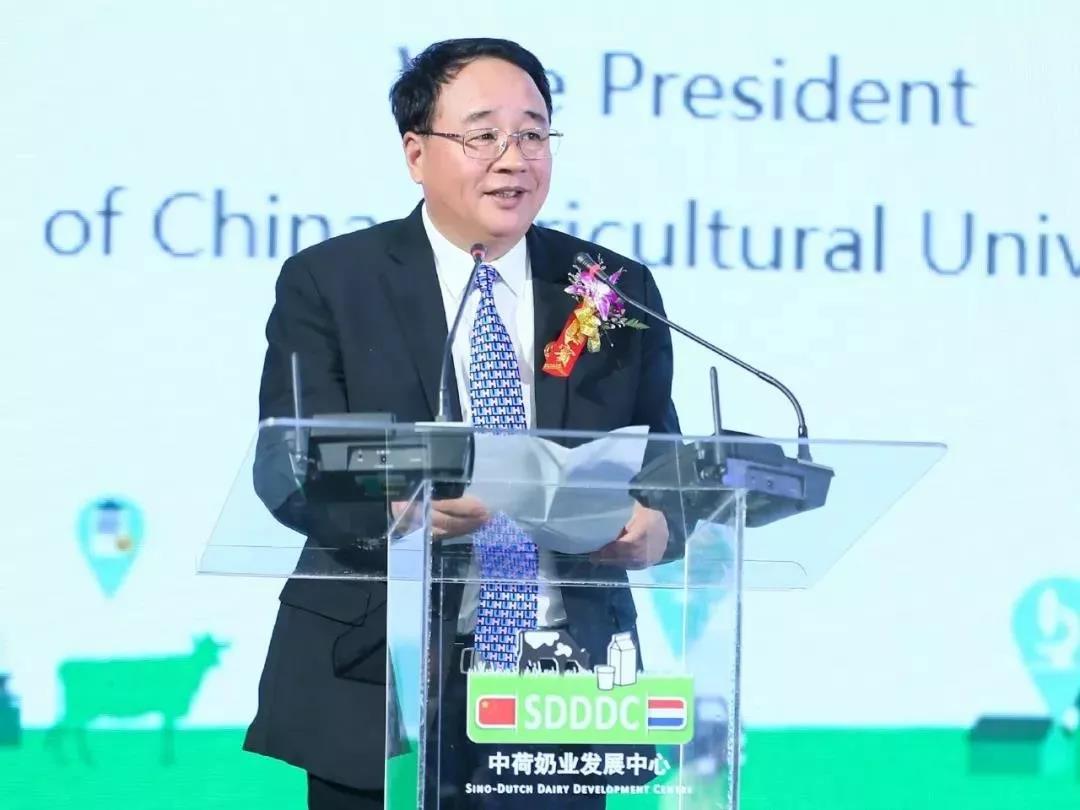 SDDDC走進(jìn)河南，看看花花牛的國(guó)際范兒！