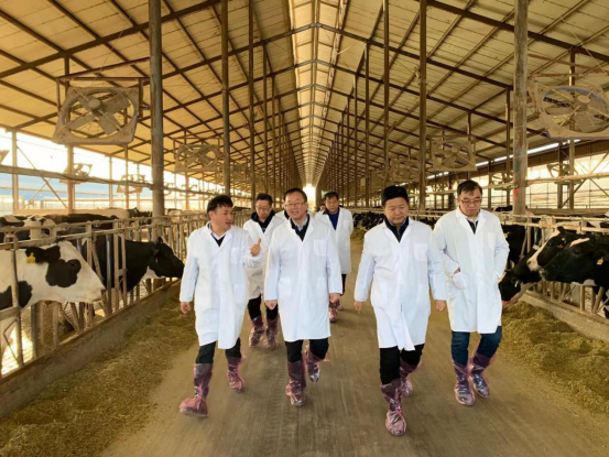 寧夏回族自治區(qū)農(nóng)業(yè)農(nóng)村廳黨組書記、廳長王剛一行蒞臨花花牛乳業(yè)集團調(diào)研