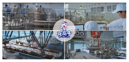 榮獲全國(guó)“質(zhì)量月”五項(xiàng)大獎(jiǎng)，花花牛真牛！