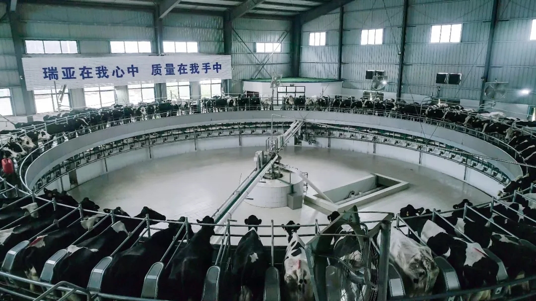 省委書記王國(guó)生到河南花花牛乳業(yè)集團(tuán)·新蔡瑞亞牧業(yè)有限公司調(diào)研