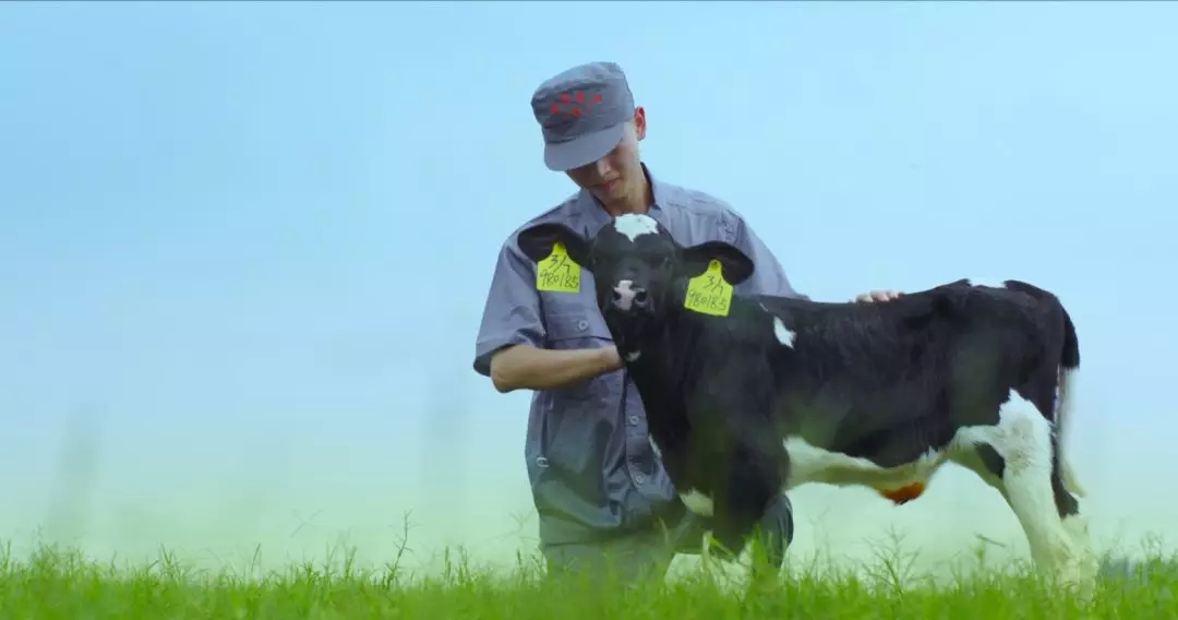 喜報 | 國家市場監(jiān)管總局抽檢，花花牛等112家企業(yè)乳品抽檢全部合格