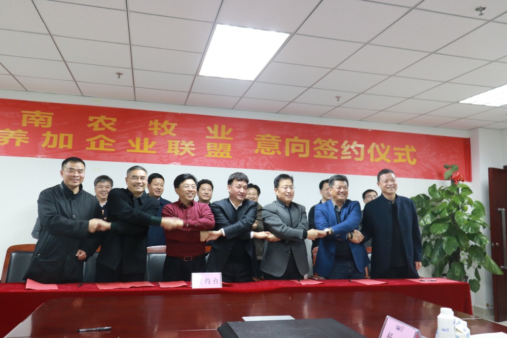 涉農(nóng)企業(yè)強(qiáng)強(qiáng)聯(lián)合，“抱團(tuán)取暖”共迎企業(yè)發(fā)展的春天